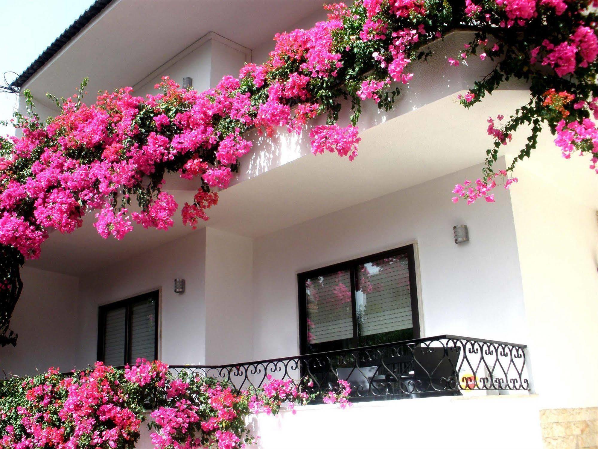 Dolce Cascais Guest House Eksteriør billede